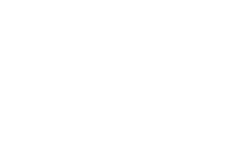 Eisai