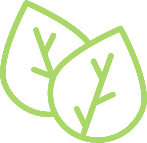 Responsible Sourcing (FSC Certified paperboard)