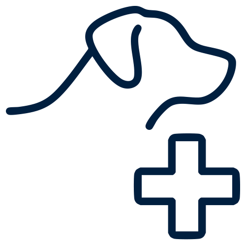 Veterinary Product Cartons